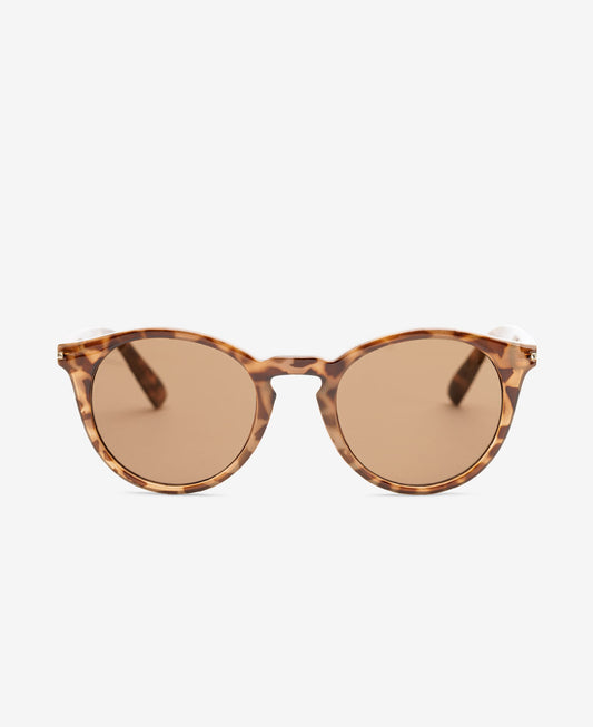 HOBBES - Egyptian Tortoise Brown