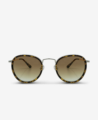 SHACKLETON - Gold Brown